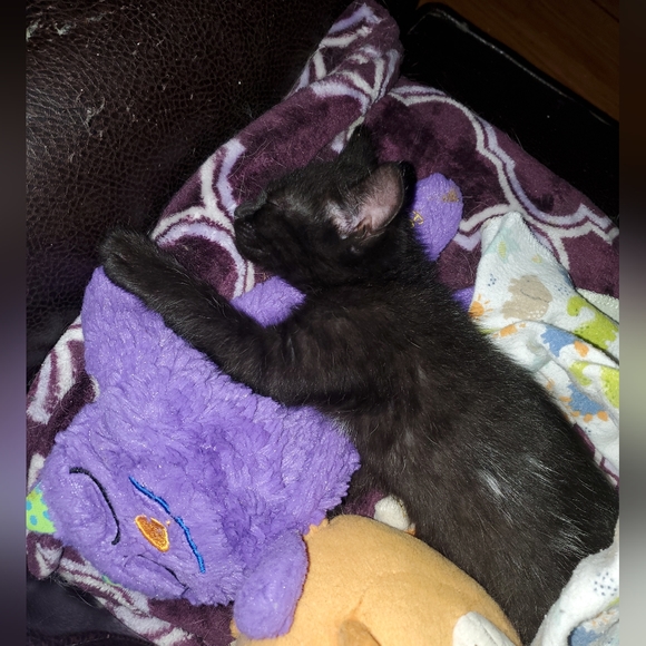 Bundle & Save.. - Picture 11 of 15